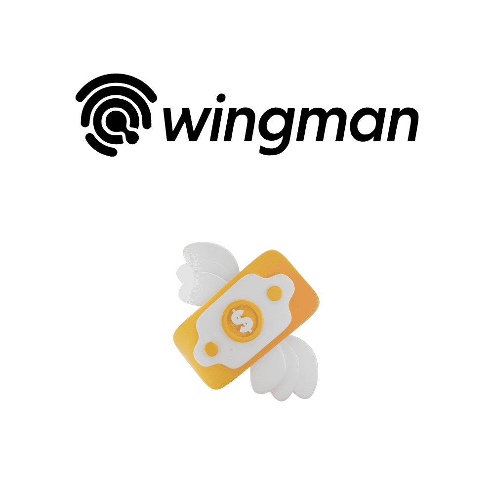 Wingman Features